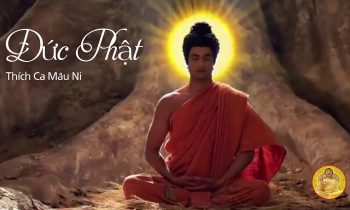 Những pháp thoại ý nghĩa của Đức Phật trong phim Cuộc đời Đức Phật Thích Ca Mâu Ni (Buddha)